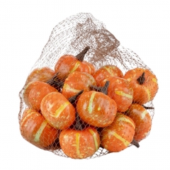 Набір декоративних гарбузиків "Осінній мікс", 20 шт, 5 см (9223-041)