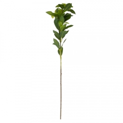 Штучна гілка фікуса, зелена, 79 см (9226-008)