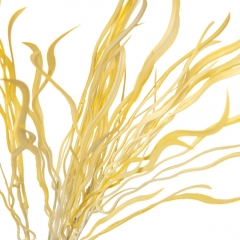 Штучна гілка 47 см., Жовта (8702-016)