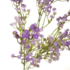 Штучна зелень, бузкова (8723-020)