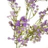 Искусственная зелень, фиолетовая (8723-020)