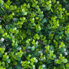 Декоративна панель зі штучної зелені "Самшит", 50*50 см (2017-001)