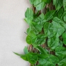 Декоративная панель из искусственной зелени и лозы 