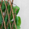 Декоративная панель из искусственной зелени и лозы 