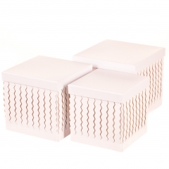 Набір коробок "Zigzag" (квадрат, білий колір) 3 шт (0098JA-B)