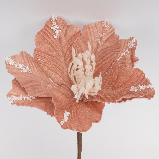 Декоративна квітка Декоративна квітка