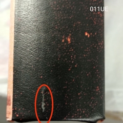 Книга-сейф "Тарас Шевченко" (00BR-011UE)