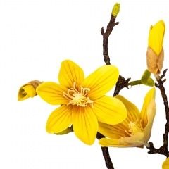 Магнолия "Марго", желтая, 60 см (9160-008)