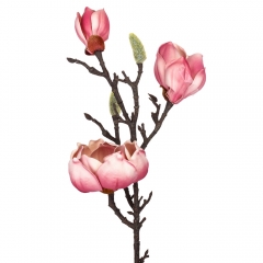 Магнолия "Фелисия", розовая, 70 см (9160-056)