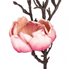 Магнолия "Фелисия", розовая, 70 см (9160-056)