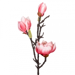 Магнолия "Фелисия", розовая, 70 см (9160-057)