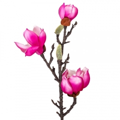 Магнолия "Фелисия", фиолетовая, 70 см (9160-058)