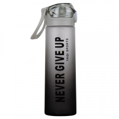 Пляшка для спорту "Never give up" ,900 мл * Рандомний вибір дизайну (9110-014)