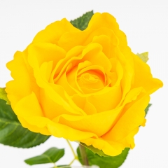 Штучна троянда з ефектом живого дотику, жовта, 73 см (2025-003)