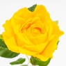 Искусственная роза с эффектом живого прикосновения, желтая, 73 см (2025-003)