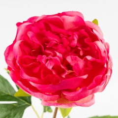 Штучна півонія з ефектом живого дотику, кремово-рожева, 60 см (2025-006)