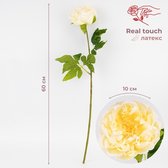 Искусственный пион с эффектом живого прикосновения, кремовый, 60 см (2025-007)