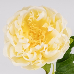 Штучна півонія з ефектом живого дотику, кремова, 60 см (2025-007)