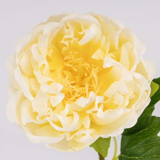 Искусственный пион с эффектом живого прикосновения, кремовый, 60 см (2025-007)