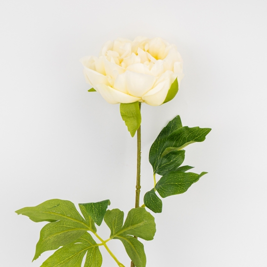 Искусственный пион с эффектом живого прикосновения, кремовый, 60 см (2025-007)