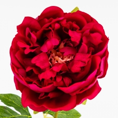 Штучна півонія з ефектом живого дотику, рожева, 60 см (2025-008)