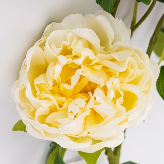 Искусственный пион с 3 бутонами с эффектом живого прикосновения, кремовый, 80 см (2025-010) Искусственный пион с 3 бутонами с эффектом живого прикосновения, кремовый, 80 см (2025-010)