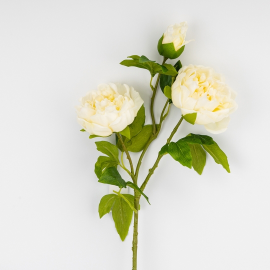 Искусственный пион с 3 бутонами с эффектом живого прикосновения, кремовый, 80 см (2025-010) Искусственный пион с 3 бутонами с эффектом живого прикосновения, кремовый, 80 см (2025-010)