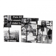 Набір із 3 коробок "Джеймс" (8927-001)