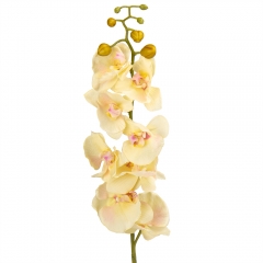 Орхидея (90 см, силикон) (крем) (034F/cream)