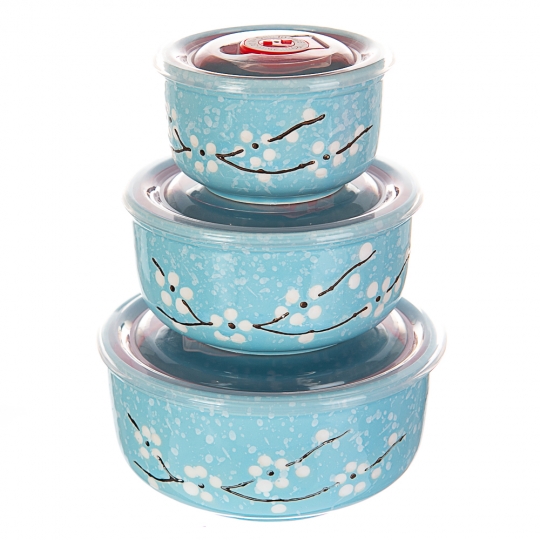 УЦІНКА Набір керамічних контейнерів з вакуумною кришкою УЦІНКА Набір керамічних контейнерів з вакуумною кришкою